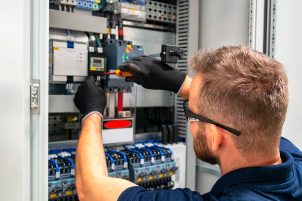 Best Electrician for Home Renovation  in Circle Pines, MN