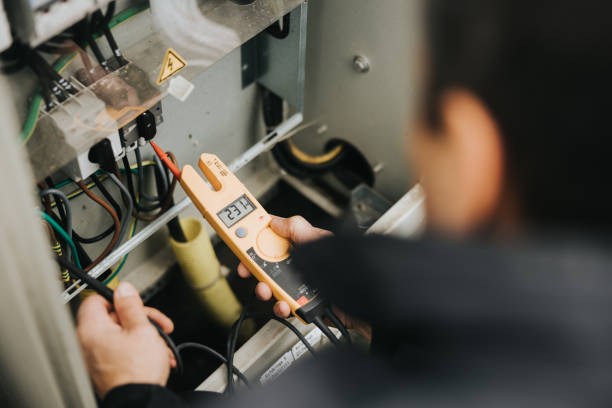 Best Electric Panel Repair  in Circle Pines, MN
