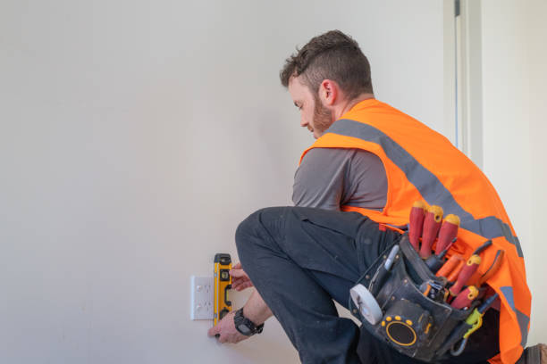 Best Affordable Electrician  in Circle Pines, MN
